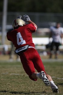 开云·Kaiyun网页版-五大联赛的魅力：不同国家球队的差异化风格，5大联赛球队综合实力排名